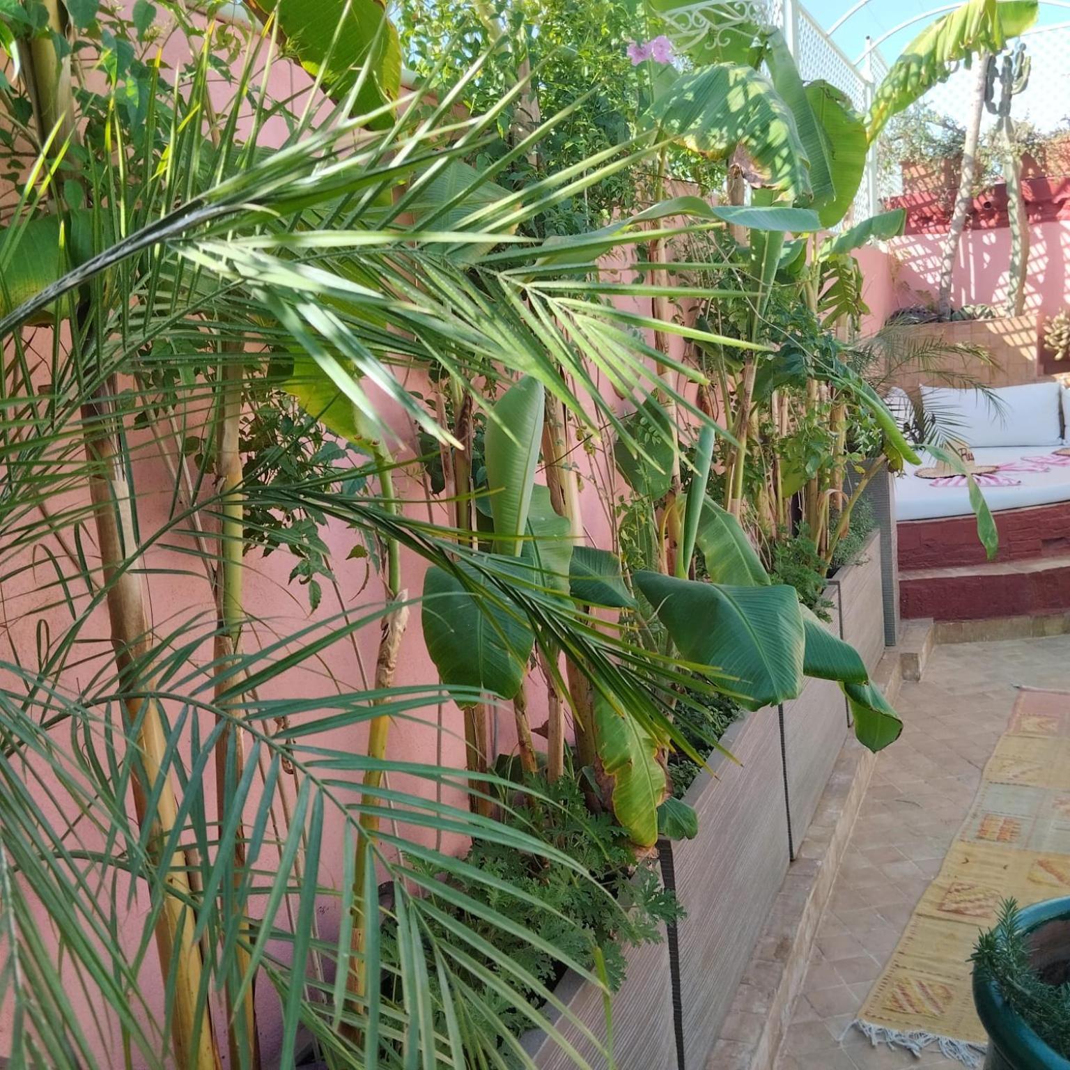 Riad Laith (Adults Only) Marrakesh Ngoại thất bức ảnh