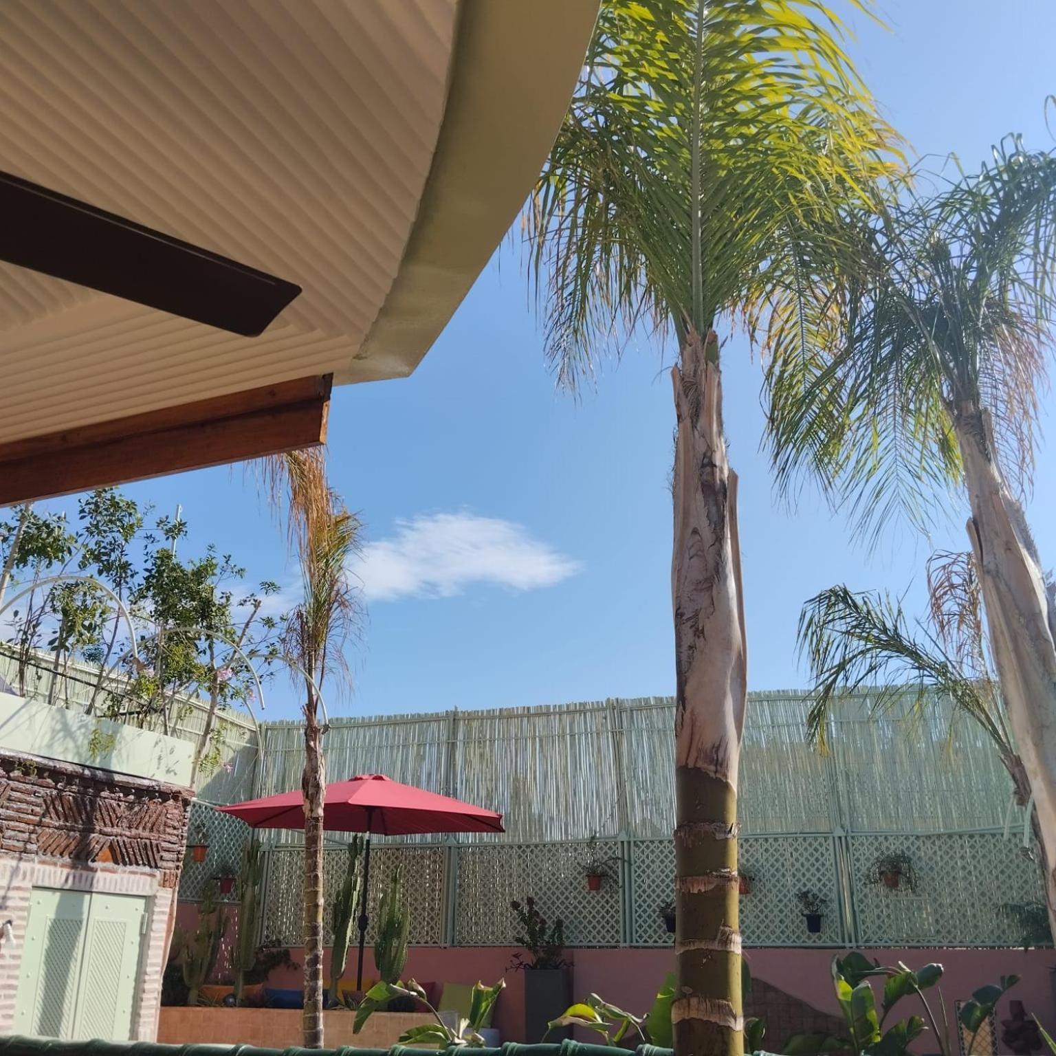 Riad Laith (Adults Only) Marrakesh Ngoại thất bức ảnh