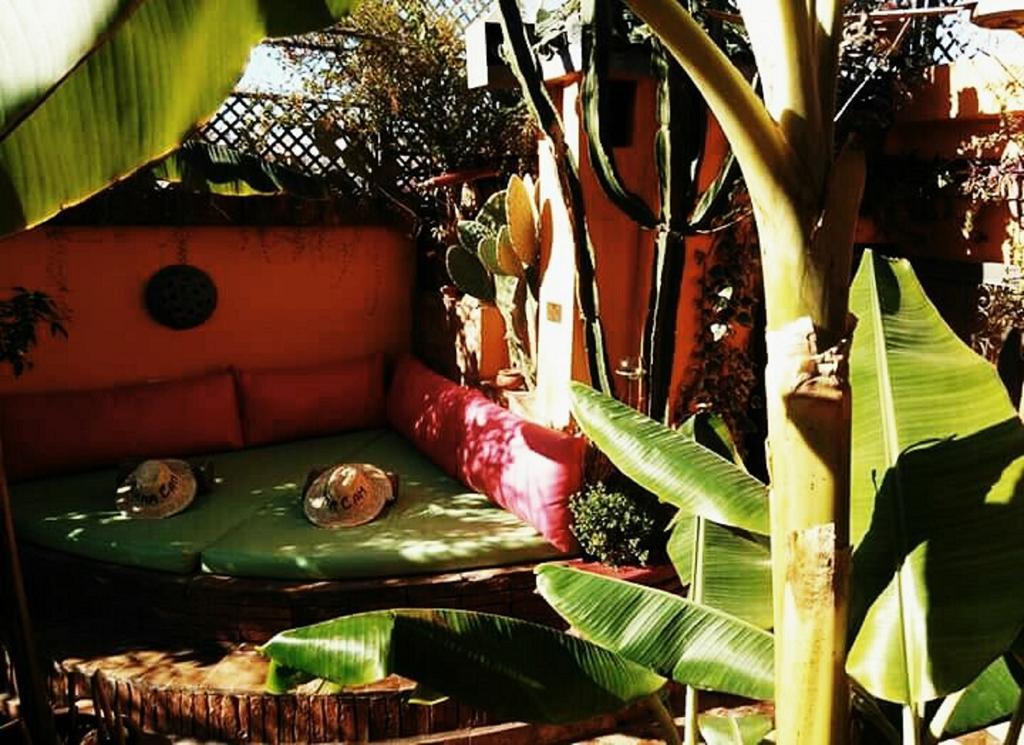 Riad Laith (Adults Only) Marrakesh Ngoại thất bức ảnh