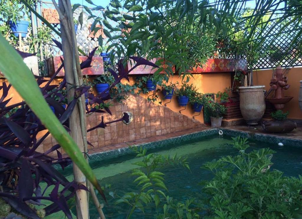Riad Laith (Adults Only) Marrakesh Ngoại thất bức ảnh