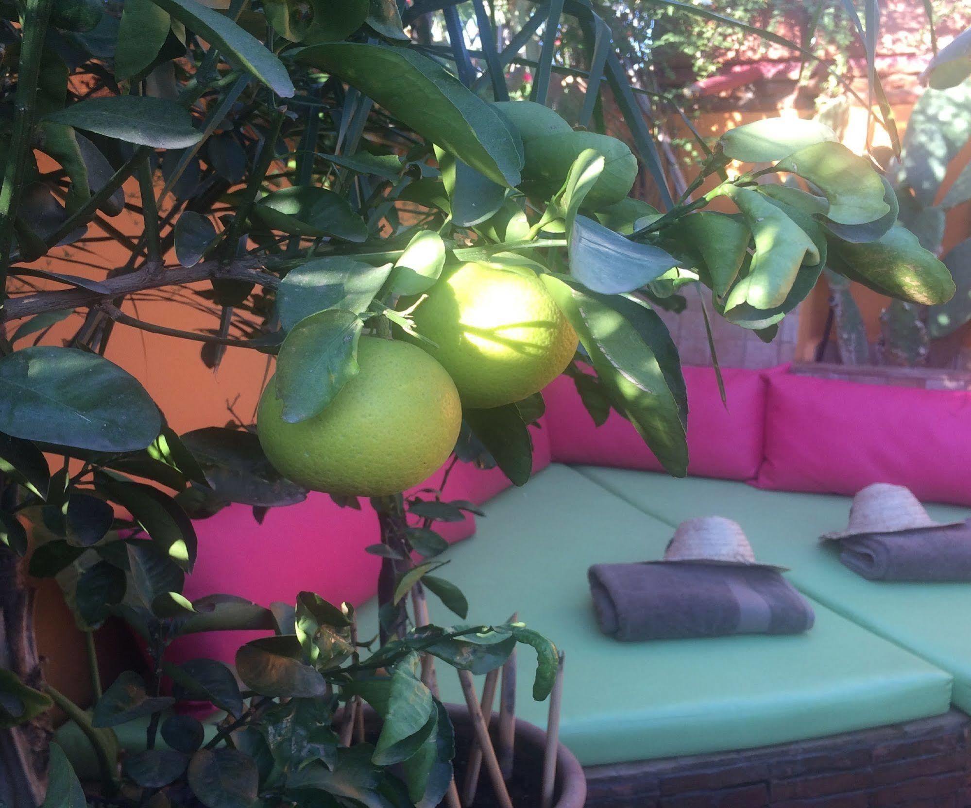 Riad Laith (Adults Only) Marrakesh Ngoại thất bức ảnh