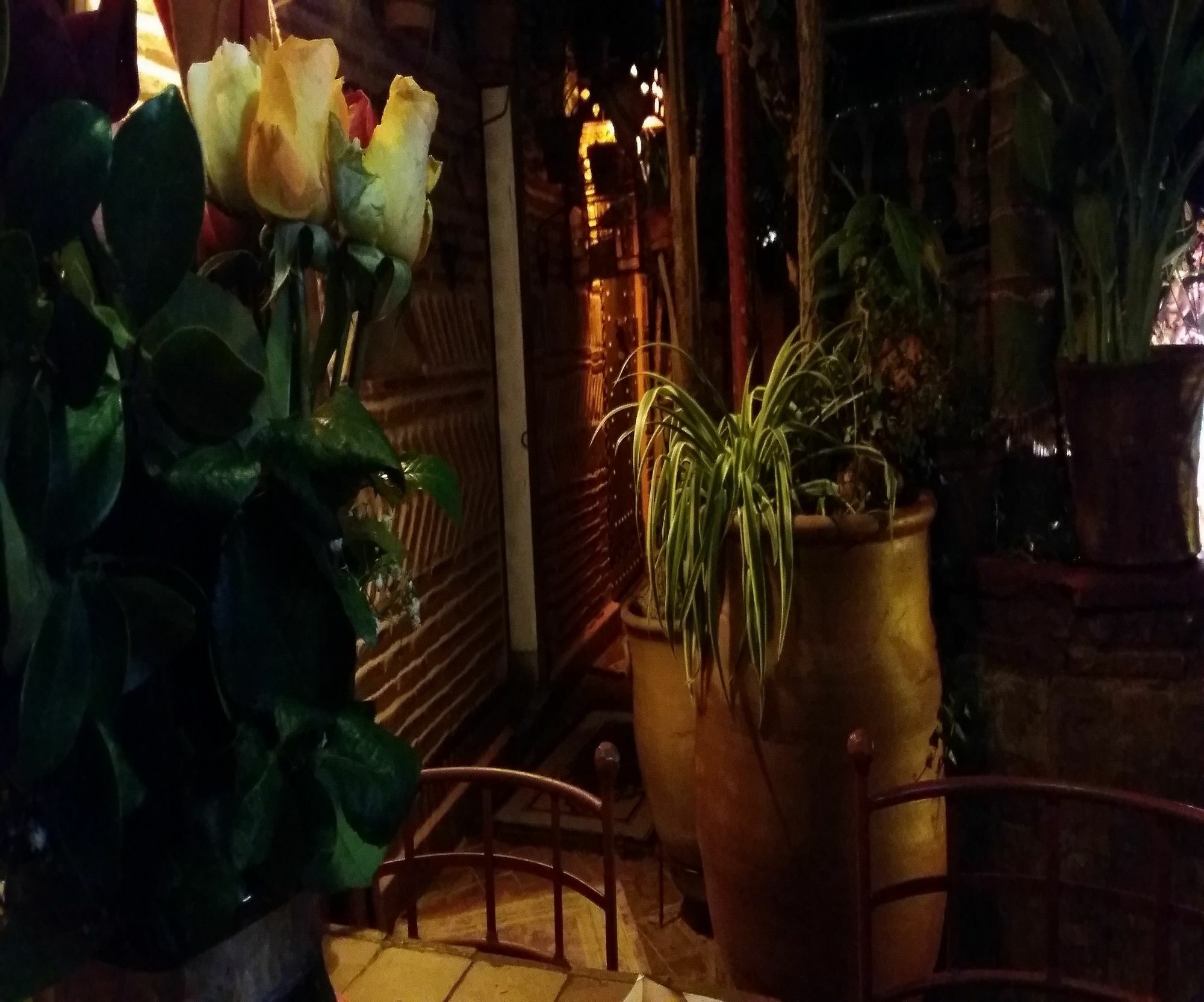Riad Laith (Adults Only) Marrakesh Ngoại thất bức ảnh